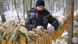 Специалисты Эхоотнадзора по Белгородской области заложили корма в заказнике «Угримский»