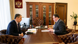 Вячеслав Гладков обсудил вопросы трудоустройства и социальной помощи с министром труда