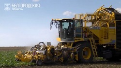 Вячеслав Гладков поделился промежуточными итогами уборочной кампании в Белгородской области
