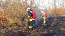 Сухая трава вспыхнула в Белгородском районе