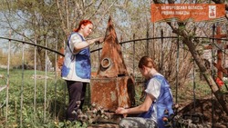 Более 2500 волонтёров Белгородской области приняли участие в акции «Субботник памяти»