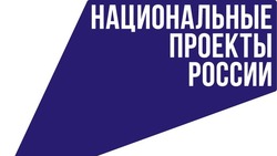 Белгородцы смогут стать волонтёрами Всероссийского голосования за объекты благоустройства