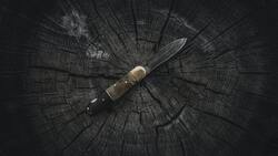 Житель Белгородского района пытался незаконно продать охотничий нож