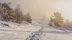 Снег продолжит идти в Белгородской области 5 января