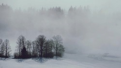 Снег с дождём и туман придут в Белгородскую область 14 февраля