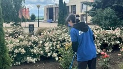 Жители Белгородского района приводят в порядок территорию своих поселений