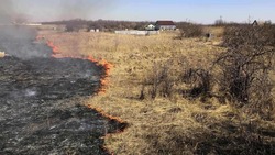 Случаи палов сухой растительности участились в Белгородской области