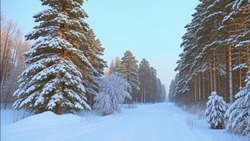 Отдел ЗАГС администрации Белгородского района поделился графиком работы в новогодние праздники