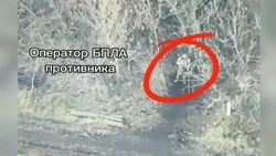 Белгородский спецназ Росгвардии уничтожил два опорных пункта ВСУ с помощью дрона-камикадзе