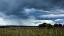 Кратковременные дожди пройдут на территории Белгородской области 26 марта