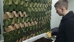 Акция «Цветы Победы» стартовала в Белгородском районе