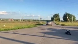 Два человека пострадали в результате ДТП в Белгородском районе за прошедшую неделю