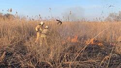 Пожарные ликвидировали возгорание камыша в Белгороде