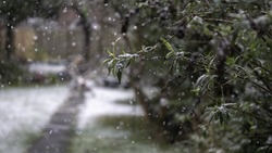 Осадки в виде мокрого снега и дождя придут на территорию Белгородской области 7 марта