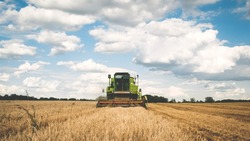 Урожайность зерновых увечилась в Белгородской области