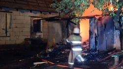 Белгородские огнеборцы ликвидировали 49 пожаров на территории региона за прошедшую неделю