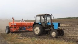 В Белгородском ФАНЦ РАН сеют озимые