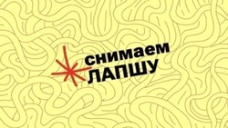 «Лапша Медиа» – о поддельных сайтах