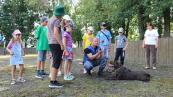 Чуткие носы, способные безошибочно проходить по лабиринтам запахов