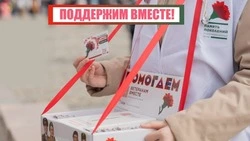 Белгородцы смогут присоединиться к участию во Всероссийской акции «Красная гвоздика»