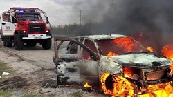Белгородские огнеборцы ликвидировали 57 пожаров на территории региона за прошедшую неделю