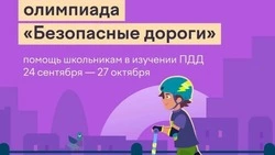 Юные жители Белгородского района могут принять участие в олимпиаде «Безопасные дороги»