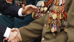 Вячеслав Гладков рассказал о перечислении допвыплат ветеранам Великой Отечественной войны