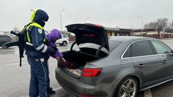 Белгородские госавтоинспекторы проводят мероприятия по профилактике безопасности дорожного движения