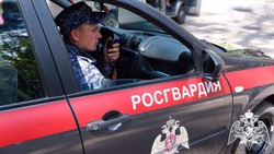 40 граждан были задержаны в ходе операции «Мак-2022» в Белгородской области