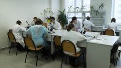 Школьники побывали на мастер-классах института фармации, химии и биологии БелГУ