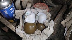 Сотрудники ФСБ изъяли у жителя Яковлевского района две ручные гранаты