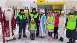 Социальная акция «Снежинка безопасности» прошла в Северном на базе детского сада № 22