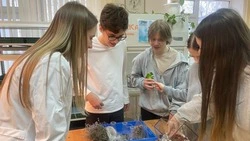 Профориентационное мероприятие «Агрокорт: маршруты успеха» прошло в Белгородском районе 