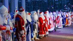 Деды Морозы и Снегурочки прошли парадом в Белгороде