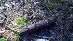 Белгородский грибник нашёл в лесу села Никольского 34 боеприпаса