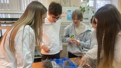Профориентационное мероприятие «Агрокорт: маршруты успеха» прошло в Белгородском районе 