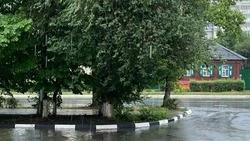 Дожди и порывы ветра до 23 м/с ожидаются в четверг на территории Белгородской области
