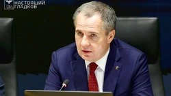 Вячеслав Гладков предупредил о распространении провокационной информации в регионе