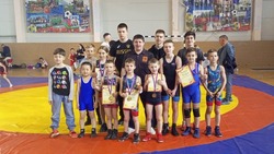 Спортсмены Белгородского района заняли призовые места на соревнованиях по вольной борьбе