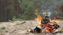 Особый противопожарный режим начал действовать на территории Белгородской области