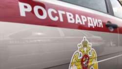 Белгородские росгвардейцы задержали объявленного в федеральный розыск мужчину