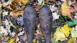 Три боеприпаса времён Великой Отечественной войны были ликвидированы в Белгородской области