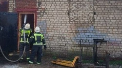 Белгородские огнеборцы ликвидировали 36 пожаров на территории региона за прошедшую неделю