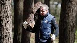 Вячеслав Гладков принял участие в месячнике добровольного служения Белгородской области
