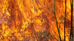 Пожарные напомнили белгородцам о случаях возгорания травы и мусора