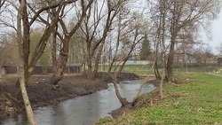 Очистка рек продолжилась на территории Белгородского района
