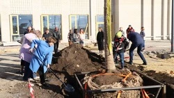 Анна Куташова присоединилась к участию в благоустройстве школы в микрорайоне «Наследие»