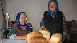 Екатерина Стрельникова рассказала белгородцам историю одного письма