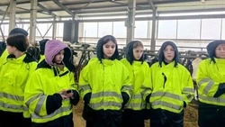 Новосадовские школьники познакомились с работой современной молочной фермы