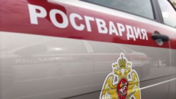 Белгородские росгвардейцы пресекли более 50 правонарушений за прошедшую неделю